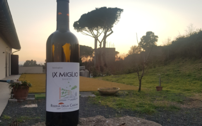 Riserva della Cascina: la Storia e il Vino si incontrano sulle tracce dell’Appia Antica